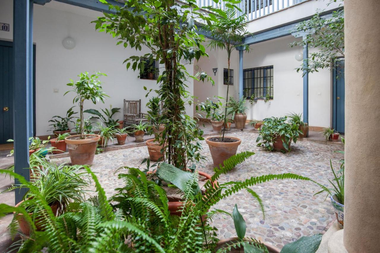 Espectacular Con Terraza Privada Parking Apartment Seville